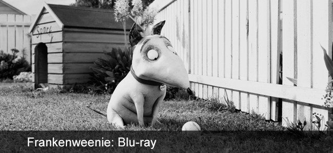 frankenweenie blu ray